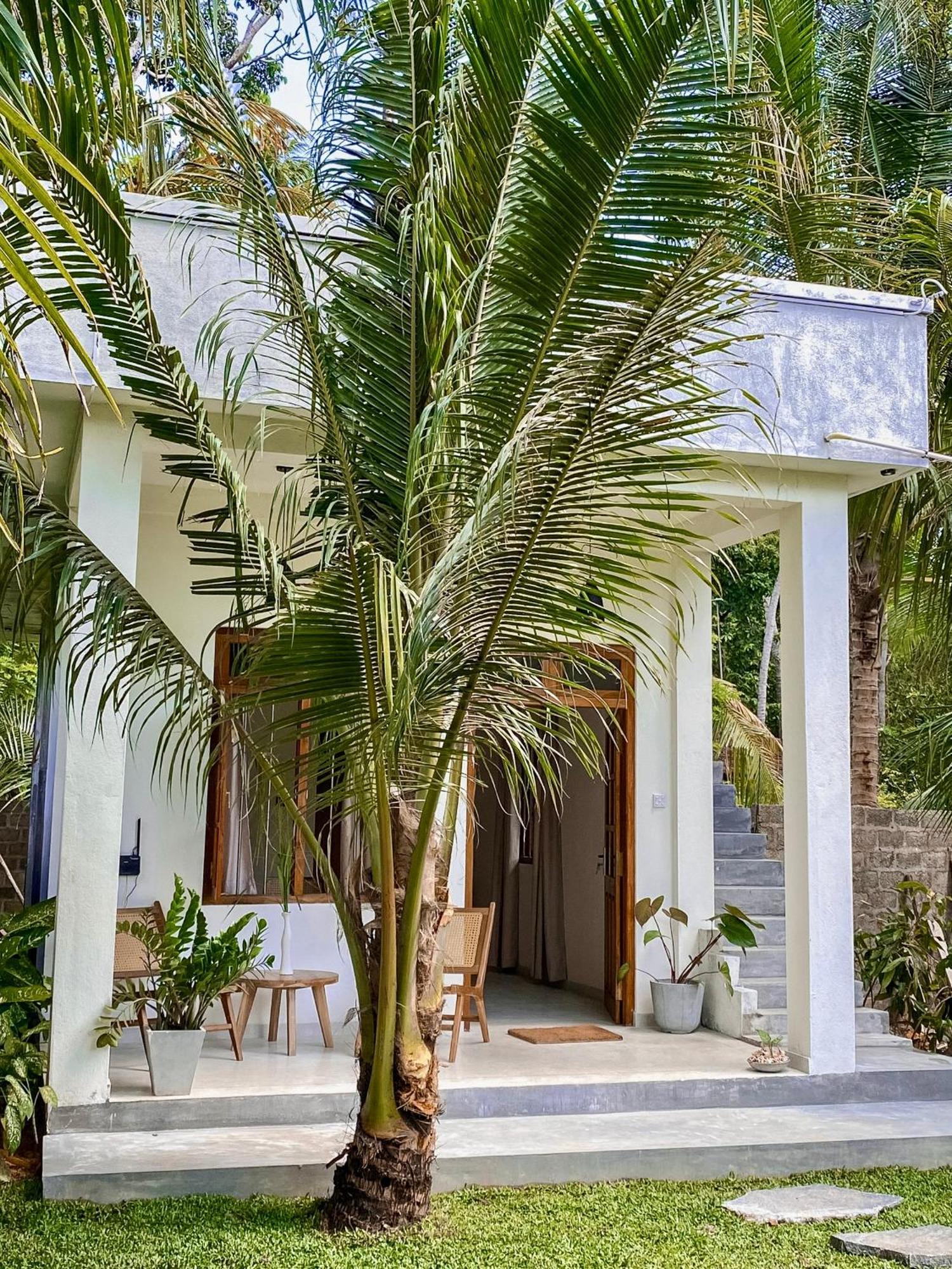 The Palm Private Cottages ミディガマ・イースト エクステリア 写真